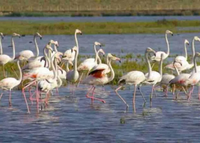 Salgados Village شقة